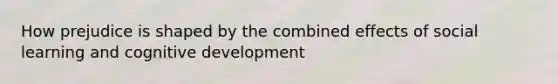 How prejudice is shaped by the combined effects of social learning and cognitive development
