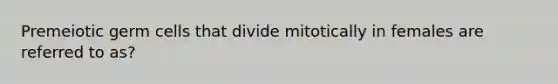 Premeiotic germ cells that divide mitotically in females are referred to as?