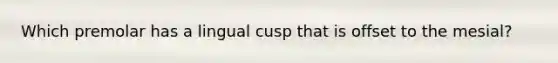 Which premolar has a lingual cusp that is offset to the mesial?