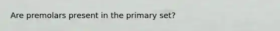 Are premolars present in the primary set?