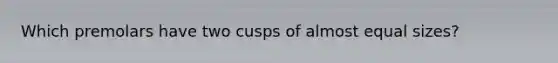 Which premolars have two cusps of almost equal sizes?