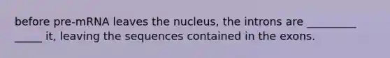 before pre-mRNA leaves the nucleus, the introns are _________ _____ it, leaving the sequences contained in the exons.