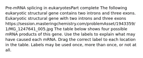 Pre-mRNA splicing in eukaryotesPart complete The following eukaryotic structural gene contains two introns and three exons. Eukaryotic structural gene with two introns and three exons https://session.masteringchemistry.com/problemAsset/1943359/1/MG_1247641_005.jpg The table below shows four possible mRNA products of this gene. Use the labels to explain what may have caused each mRNA. Drag the correct label to each location in the table. Labels may be used once, <a href='https://www.questionai.com/knowledge/keWHlEPx42-more-than' class='anchor-knowledge'>more than</a> once, or not at all.