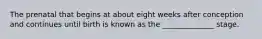 The prenatal that begins at about eight weeks after conception and continues until birth is known as the ______________ stage.