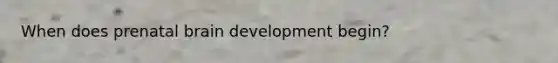 When does prenatal brain development begin?