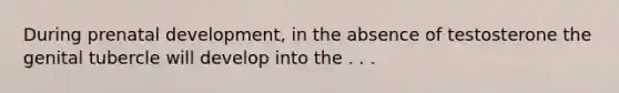 ​During prenatal development, in the absence of testosterone the genital tubercle will develop into the . . .
