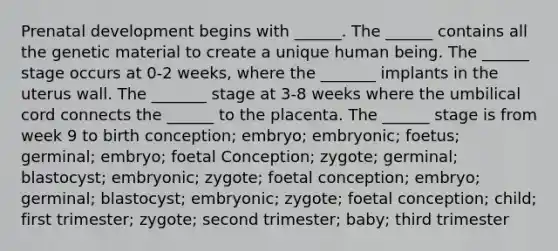 Prenatal development begins with ______. The ______ contains all the genetic material to create a unique human being. The ______ stage occurs at 0-2 weeks, where the _______ implants in the uterus wall. The _______ stage at 3-8 weeks where the umbilical cord connects the ______ to the placenta. The ______ stage is from week 9 to birth conception; embryo; embryonic; foetus; germinal; embryo; foetal Conception; zygote; germinal; blastocyst; embryonic; zygote; foetal conception; embryo; germinal; blastocyst; embryonic; zygote; foetal conception; child; first trimester; zygote; second trimester; baby; third trimester