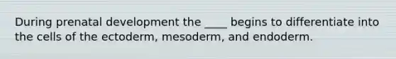 During prenatal development the ____ begins to differentiate into the cells of the ectoderm, mesoderm, and endoderm.