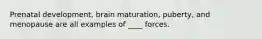 Prenatal development, brain maturation, puberty, and menopause are all examples of ____ forces.​ ​