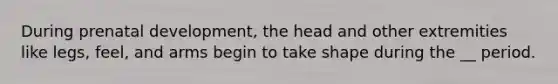 During prenatal development, the head and other extremities like legs, feel, and arms begin to take shape during the __ period.