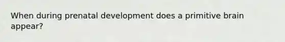 When during prenatal development does a primitive brain appear?