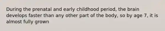 During the prenatal and early childhood period, the brain develops faster than any other part of the body, so by age 7, it is almost fully grown