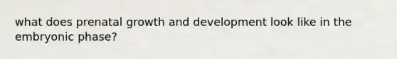 what does prenatal <a href='https://www.questionai.com/knowledge/kde2iCObwW-growth-and-development' class='anchor-knowledge'>growth and development</a> look like in the embryonic phase?