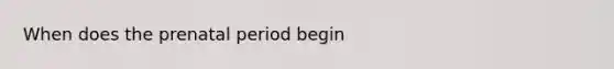 When does the prenatal period begin