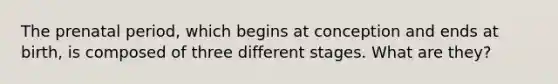 The prenatal period, which begins at conception and ends at birth, is composed of three different stages. What are they?