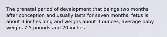 The prenatal period of development that beings two months after conception and usually lasts for seven months, fetus is about 3 inches long and weighs about 3 ounces, average baby weighs 7.5 pounds and 20 inches