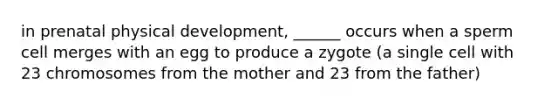 in prenatal physical development, ______ occurs when a sperm cell merges with an egg to produce a zygote (a single cell with 23 chromosomes from the mother and 23 from the father)