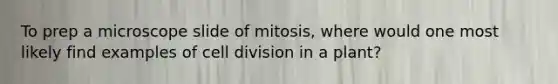 To prep a microscope slide of mitosis, where would one most likely find examples of cell division in a plant?