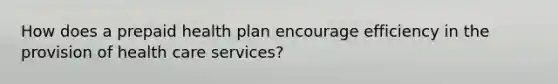 How does a prepaid health plan encourage efficiency in the provision of health care services?