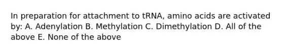 In preparation for attachment to tRNA, amino acids are activated by: A. Adenylation B. Methylation C. Dimethylation D. All of the above E. None of the above