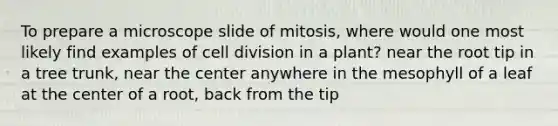 To prepare a microscope slide of mitosis, where would one most likely find examples of cell division in a plant? near the root tip in a tree trunk, near the center anywhere in the mesophyll of a leaf at the center of a root, back from the tip