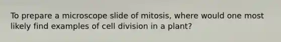 To prepare a microscope slide of mitosis, where would one most likely find examples of cell division in a plant?