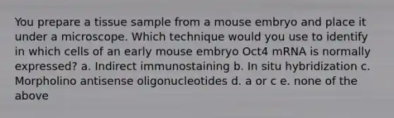 You prepare a tissue sample from a mouse embryo and place it under a microscope. Which technique would you use to identify in which cells of an early mouse embryo Oct4 mRNA is normally expressed? a. Indirect immunostaining b. In situ hybridization c. Morpholino antisense oligonucleotides d. a or c e. none of the above