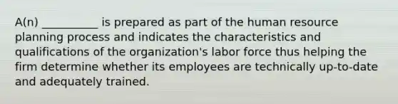 A(n) __________ is prepared as part of the human resource planning process and indicates the characteristics and qualifications of the organization's labor force thus helping the firm determine whether its employees are technically up-to-date and adequately trained.