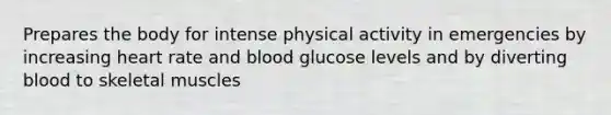 Prepares the body for intense physical activity in emergencies by increasing heart rate and blood glucose levels and by diverting blood to skeletal muscles