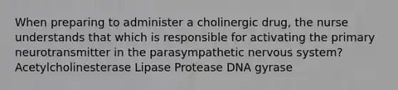 When preparing to administer a cholinergic drug, the nurse understands that which is responsible for activating the primary neurotransmitter in the parasympathetic nervous system? Acetylcholinesterase Lipase Protease DNA gyrase