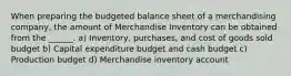 When preparing the budgeted balance sheet of a merchandising company, the amount of Merchandise Inventory can be obtained from the ______. a) Inventory, purchases, and cost of goods sold budget b) Capital expenditure budget and cash budget c) Production budget d) Merchandise inventory account