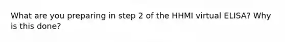 What are you preparing in step 2 of the HHMI virtual ELISA? Why is this done?