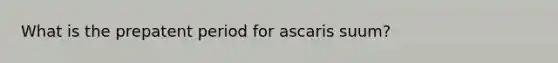 What is the prepatent period for ascaris suum?