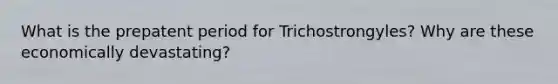 What is the prepatent period for Trichostrongyles? Why are these economically devastating?