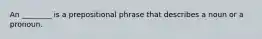 An ________ is a prepositional phrase that describes a noun or a pronoun.