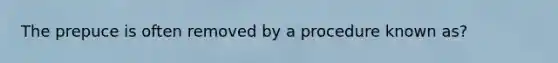 The prepuce is often removed by a procedure known as?