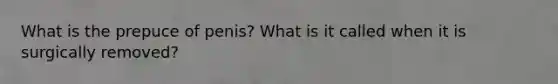 What is the prepuce of penis? What is it called when it is surgically removed?