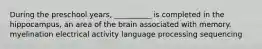 During the preschool years, __________ is completed in the hippocampus, an area of the brain associated with memory. myelination electrical activity language processing sequencing