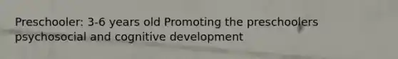 Preschooler: 3-6 years old Promoting the preschoolers psychosocial and cognitive development