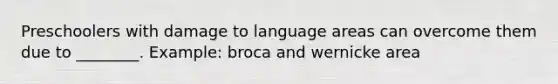 Preschoolers with damage to language areas can overcome them due to ________. Example: broca and wernicke area