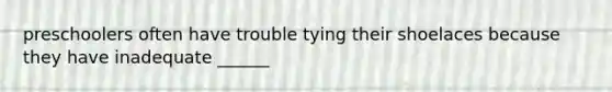 preschoolers often have trouble tying their shoelaces because they have inadequate ______