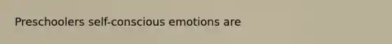 Preschoolers self-conscious emotions are