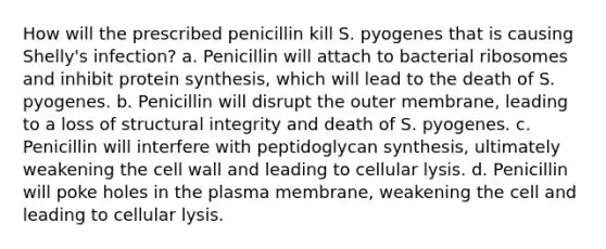 How will the prescribed penicillin kill S. pyogenes that is causing Shelly's infection? a. Penicillin will attach to bacterial ribosomes and inhibit protein synthesis, which will lead to the death of S. pyogenes. b. Penicillin will disrupt the outer membrane, leading to a loss of structural integrity and death of S. pyogenes. c. Penicillin will interfere with peptidoglycan synthesis, ultimately weakening the cell wall and leading to cellular lysis. d. Penicillin will poke holes in the plasma membrane, weakening the cell and leading to cellular lysis.