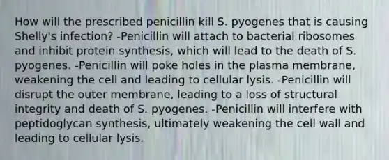 How will the prescribed penicillin kill S. pyogenes that is causing Shelly's infection? -Penicillin will attach to bacterial ribosomes and inhibit <a href='https://www.questionai.com/knowledge/kVyphSdCnD-protein-synthesis' class='anchor-knowledge'>protein synthesis</a>, which will lead to the death of S. pyogenes. -Penicillin will poke holes in the plasma membrane, weakening the cell and leading to cellular lysis. -Penicillin will disrupt the outer membrane, leading to a loss of structural integrity and death of S. pyogenes. -Penicillin will interfere with peptidoglycan synthesis, ultimately weakening the cell wall and leading to cellular lysis.