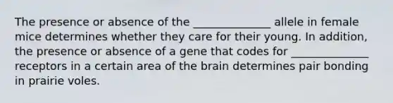 The presence or absence of the ______________ allele in female mice determines whether they care for their young. In addition, the presence or absence of a gene that codes for ______________ receptors in a certain area of the brain determines pair bonding in prairie voles.