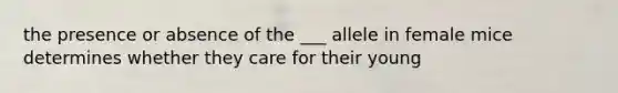 the presence or absence of the ___ allele in female mice determines whether they care for their young