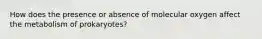 How does the presence or absence of molecular oxygen affect the metabolism of prokaryotes?