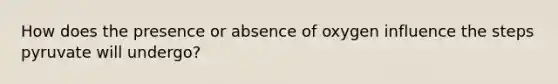 How does the presence or absence of oxygen influence the steps pyruvate will undergo?