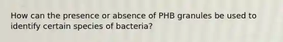 How can the presence or absence of PHB granules be used to identify certain species of bacteria?