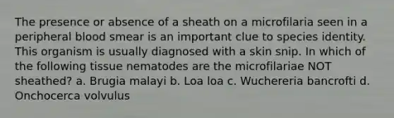 The presence or absence of a sheath on a microfilaria seen in a peripheral blood smear is an important clue to species identity. This organism is usually diagnosed with a skin snip. In which of the following tissue nematodes are the microfilariae NOT sheathed? a. Brugia malayi b. Loa loa c. Wuchereria bancrofti d. Onchocerca volvulus